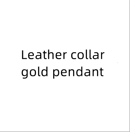 Leather Collar Gold Pendant