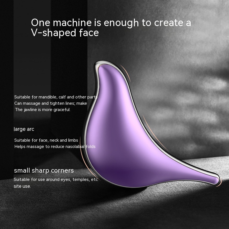 Little Dolphin MeiWei Current Inductive Therapeutical Instrument Vibration Lifting Color Light Facial Instrument