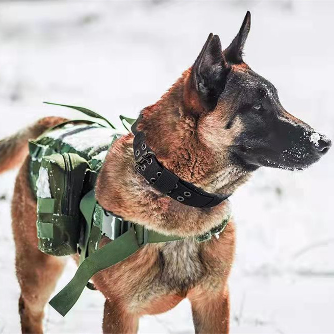 Medium Large Dog Collar Outdoor Tactics Nylon Collar