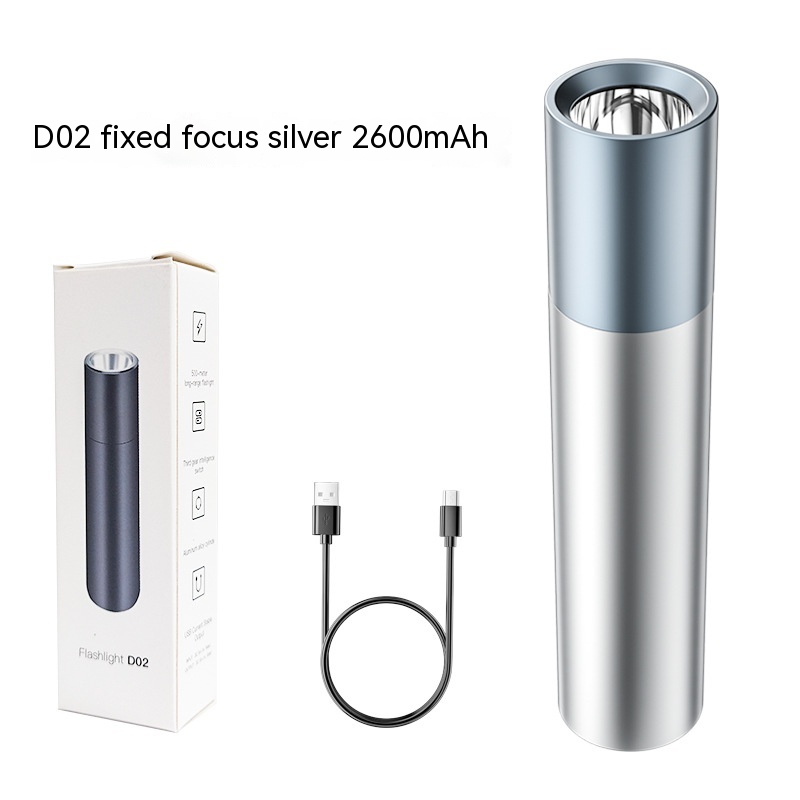 D02 Silver Fixed Focus 2600 MA