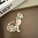Australian Shepherd