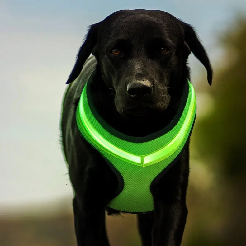 LED Luminous Dog Harness USB Charging Chest