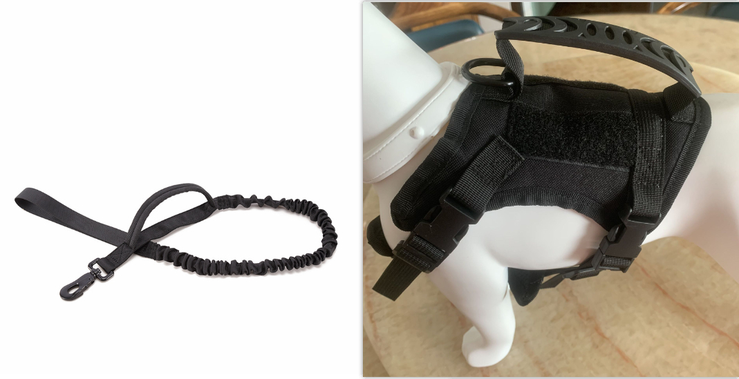 Black Chest Strap and leash