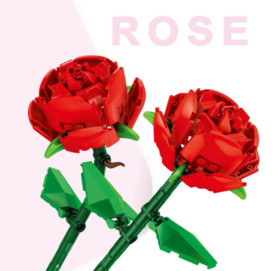 Red Rose boxed