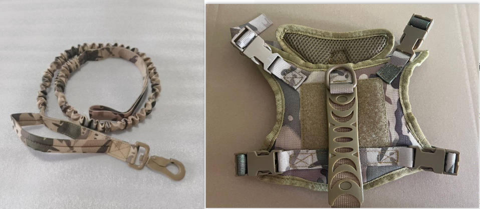 CP Chest Strap and leash