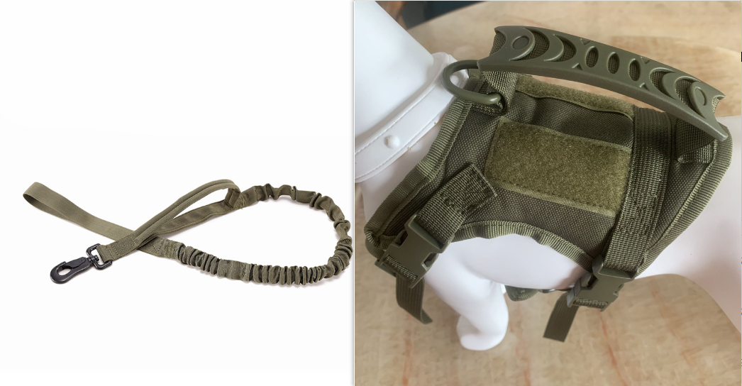 Army Chest Strap and leash