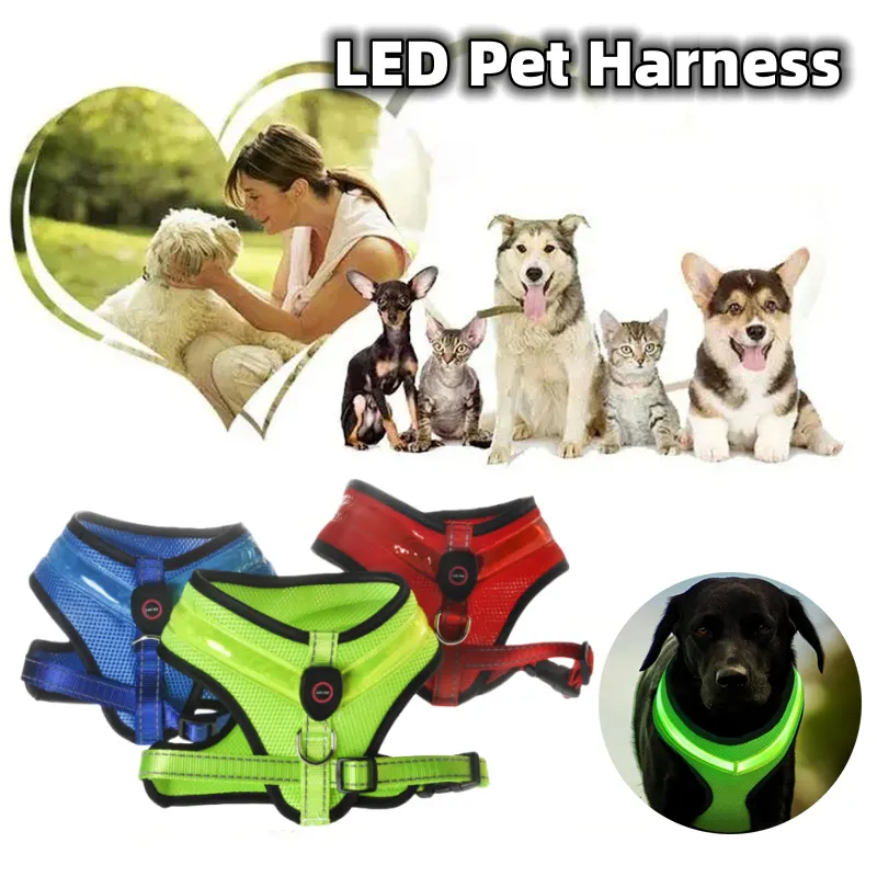 LED Luminous Dog Harness USB Charging Chest Strap Vest Pet Safety