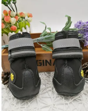 Pet shoes wear dog