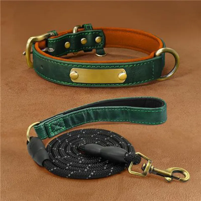 Dog Collar Engraved With Lettering To Prevent Loss Of Neck Collar - Green Suit