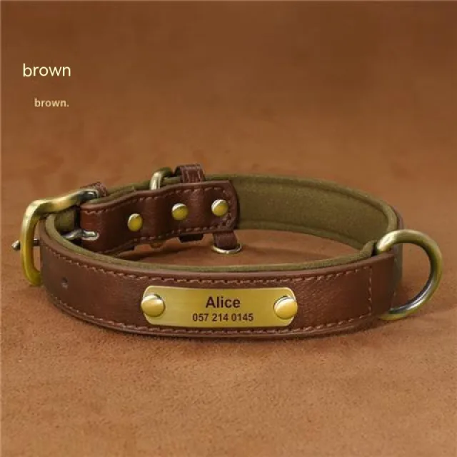 Dog Collar Engraved With Lettering To Prevent Loss Of Neck Collar Brown - Shop at LoveMi