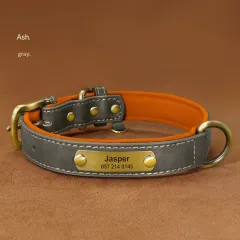 Dog Collar Engraved With Lettering To Prevent Loss Of Neck Collar - Grey - View 1