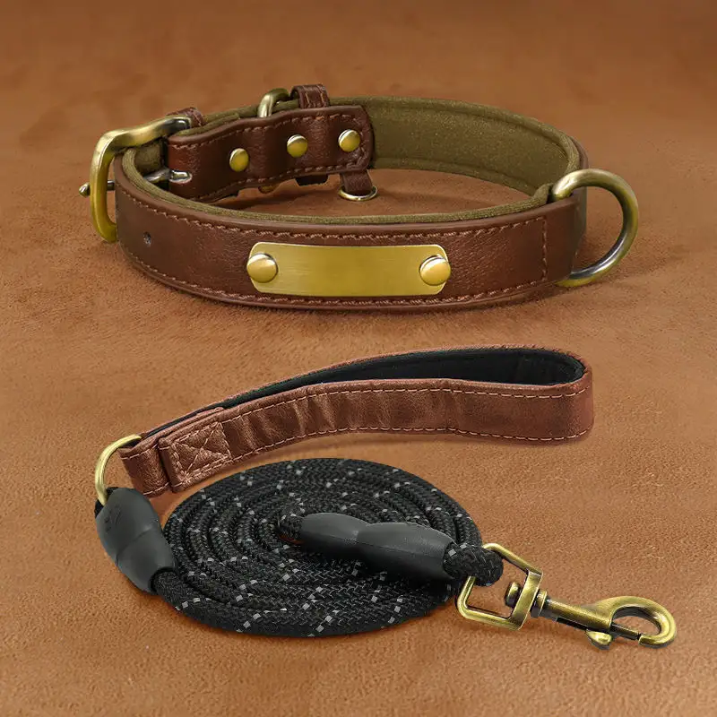 Dog Collar Engraved With Lettering To Prevent