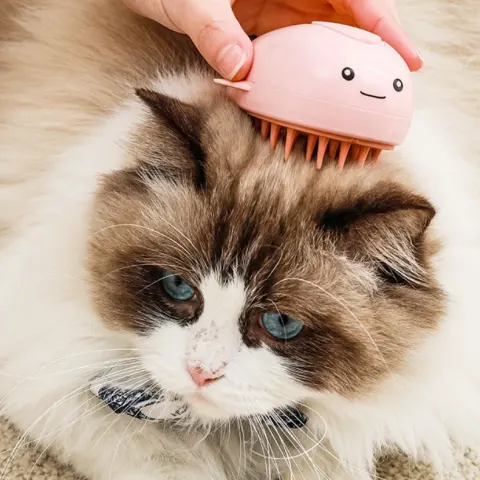 Pet Cat Dog Electric Spray Except Hair Comb Pet