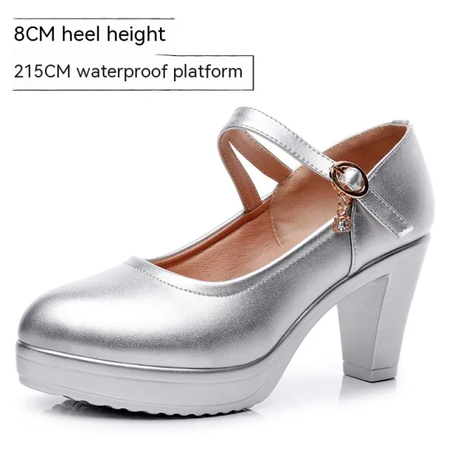 Round Toe Shallow Mouth High Heel Thick Bottom Waterproof Platform Shoes Silver - Shop at LoveMi