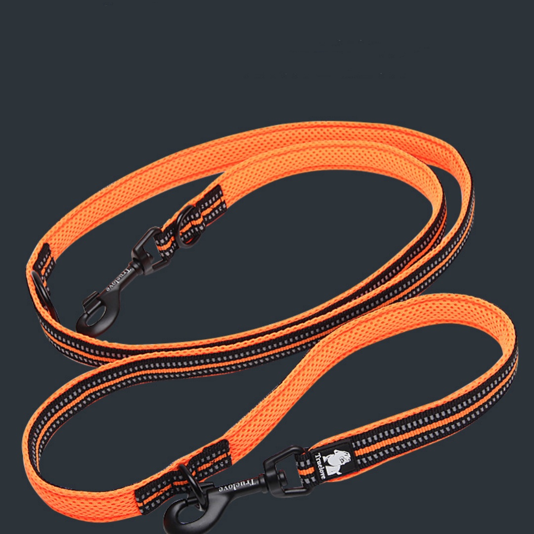 Corde de maintien multifonctionnelle pour chien de compagnie, chaîne extérieure à Double tête, bandoulière en Polyester réfléchissant