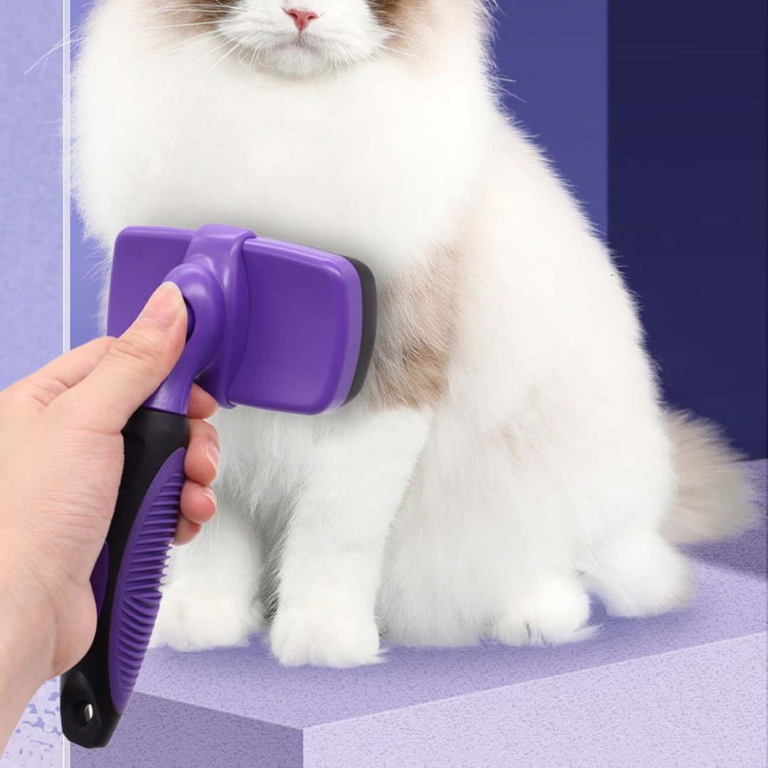 Minimalist Pet Specific Plastic Comb Brush