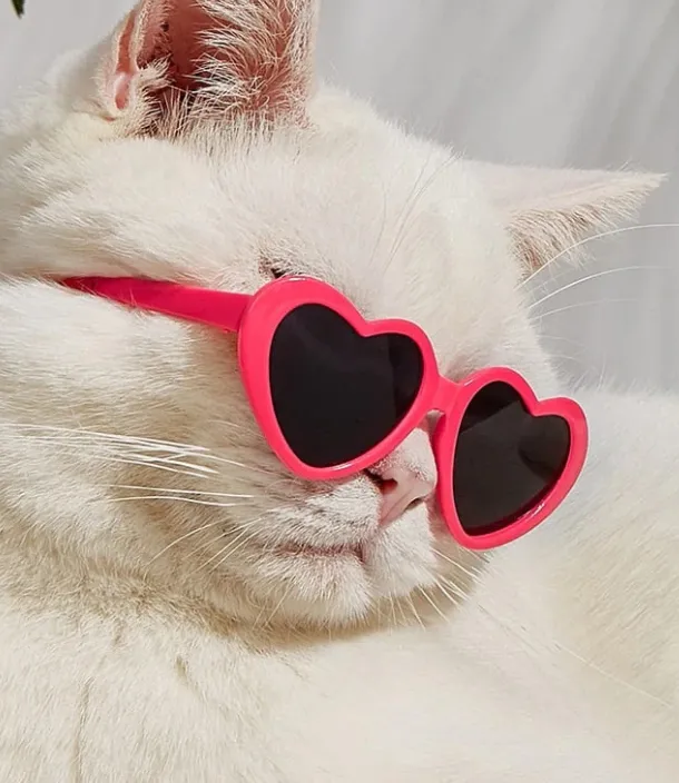 Doll Sunglasses Pet Toy Accessories - Black Film