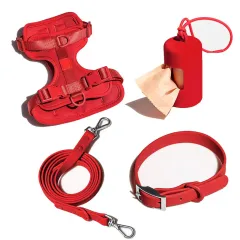 Double Layer Pet Chest Strap Set With PVC Traction Rope - Red Four Piece Set - View 1