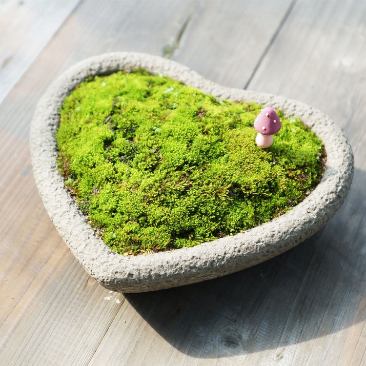 Nordic Creative Colorful Heart-shaped Flower Pot Qixi Succulents