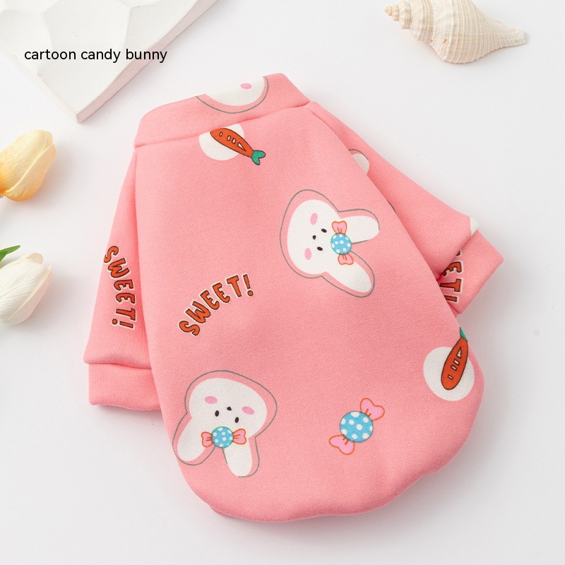 Cartoon Candy Rabbit