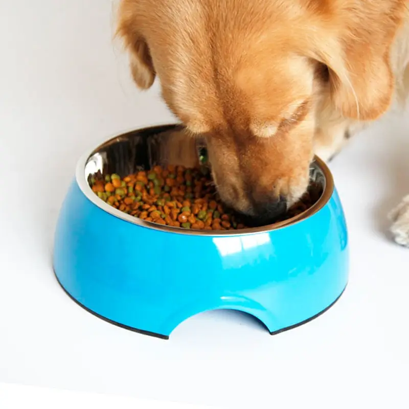 Stainless Steel Bowl Melamine Melamine Pet Tableware