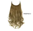 M6Ph613