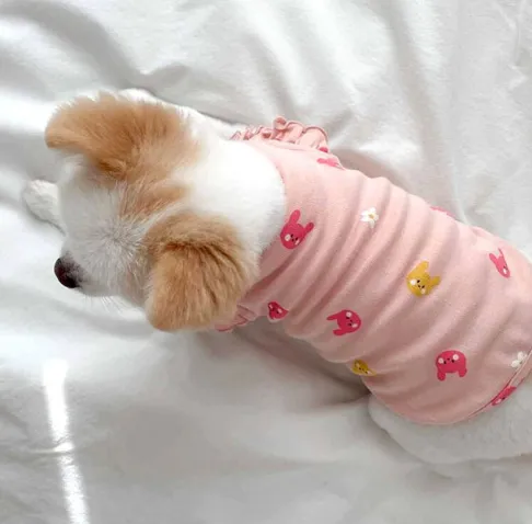 Spring Thin Cat Flying Sleeve Vest Dog Two Feet Apparel Pink - Shop at LoveMi