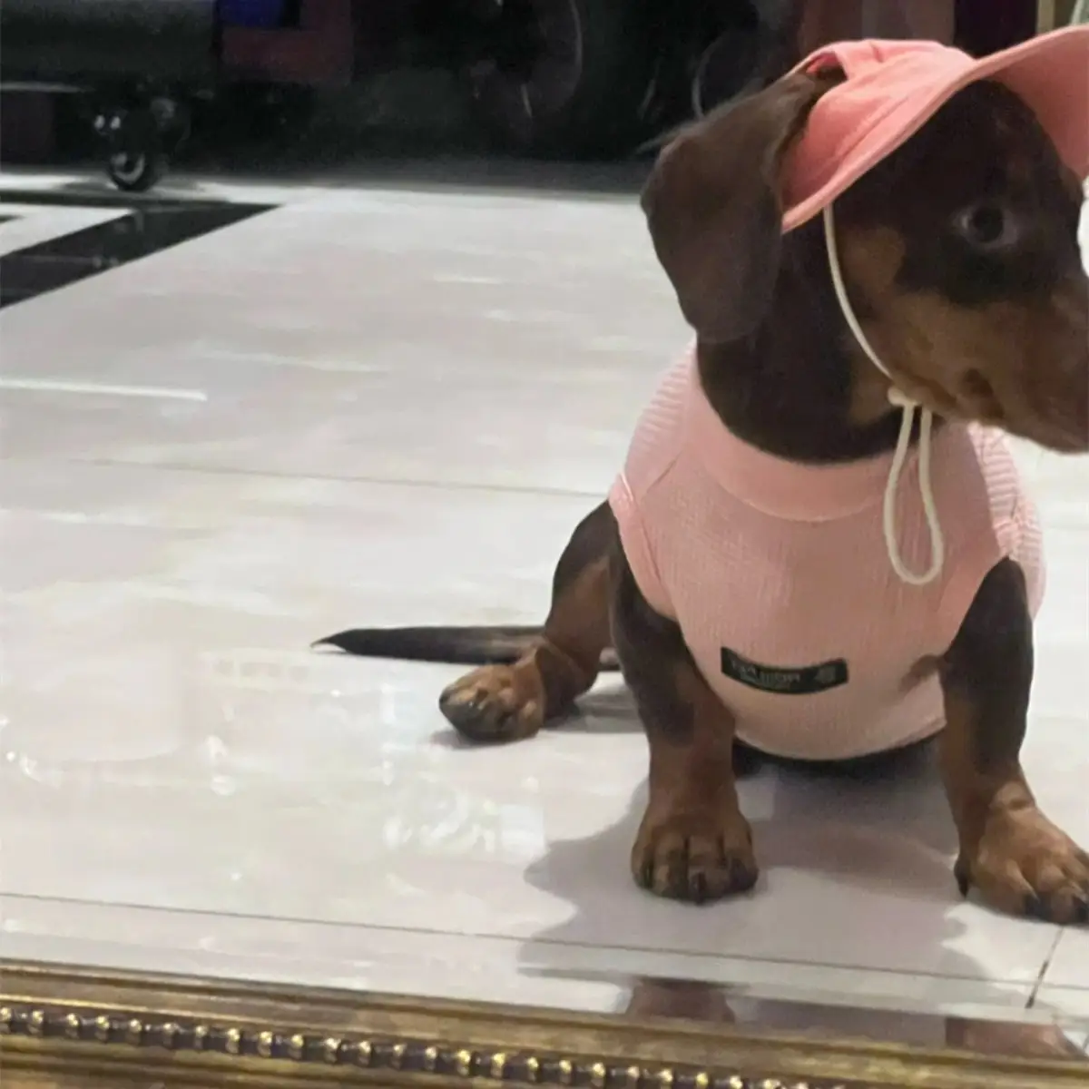 Pet Fashion Waffle Pure Cotton Vest