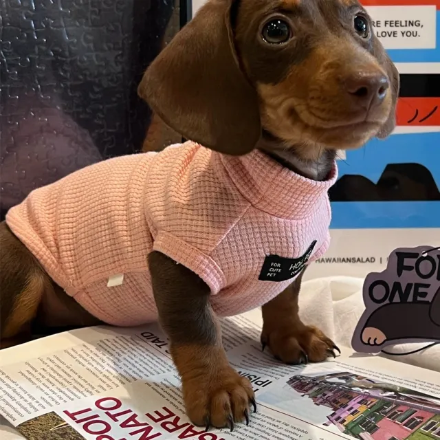 Pet Fashion Waffle Pure Cotton Vest Sausage Waffle - Shop at LoveMi