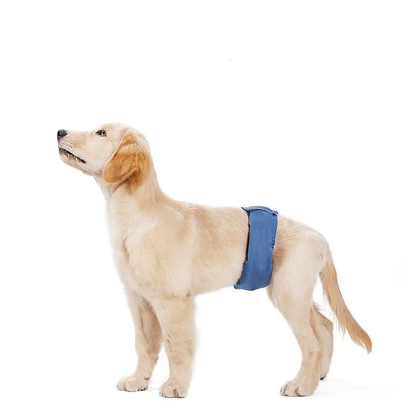 Pet Dog Menstrual Panties Breathable And Absorbent