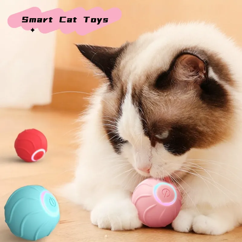 Smart Cat Toys Rolling Ball Pet Owner