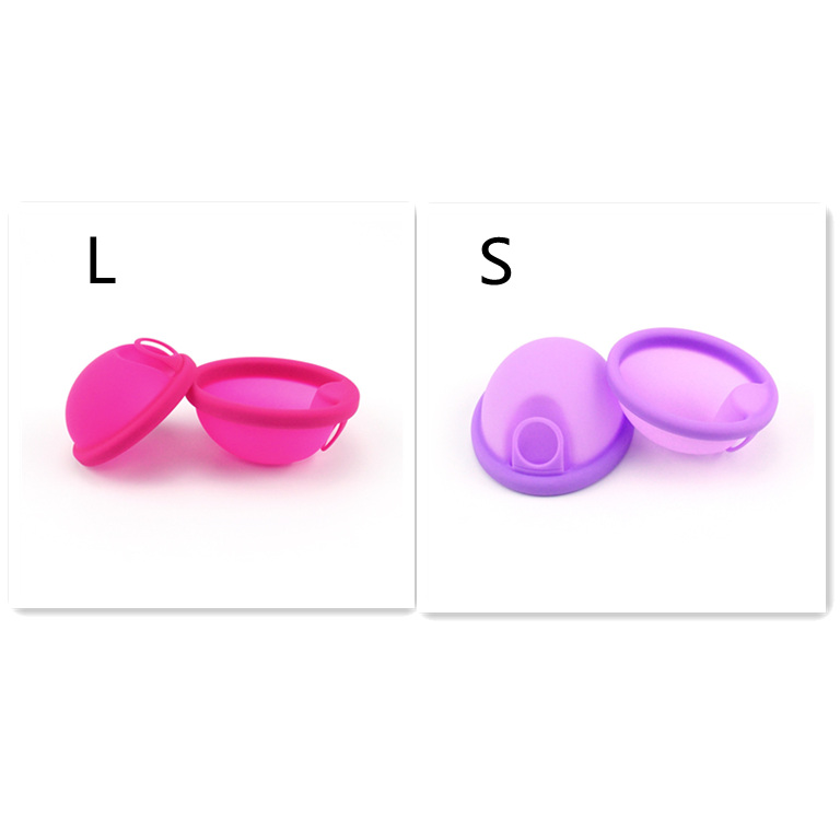 L Rose Red S Purple