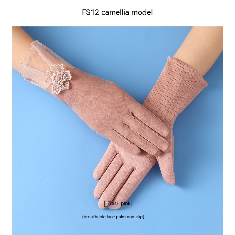 FS12 Camellia Flesh Pink