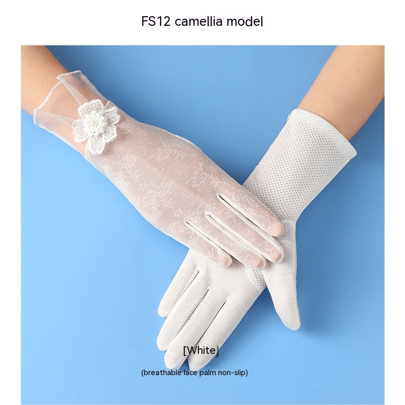 FS12 Camellia White