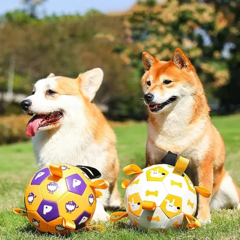 Dog Interactive Football Toys Children Soccer Dog Outdoor Training