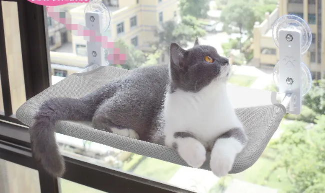 Cat Suction Cup Window Glass Hammock Pet