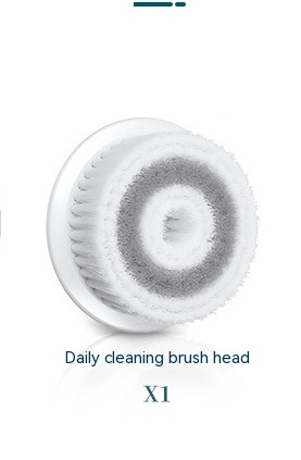 Daily cleaning brush head