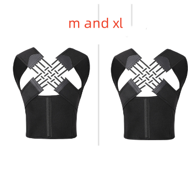 M and XL