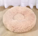 Champagne