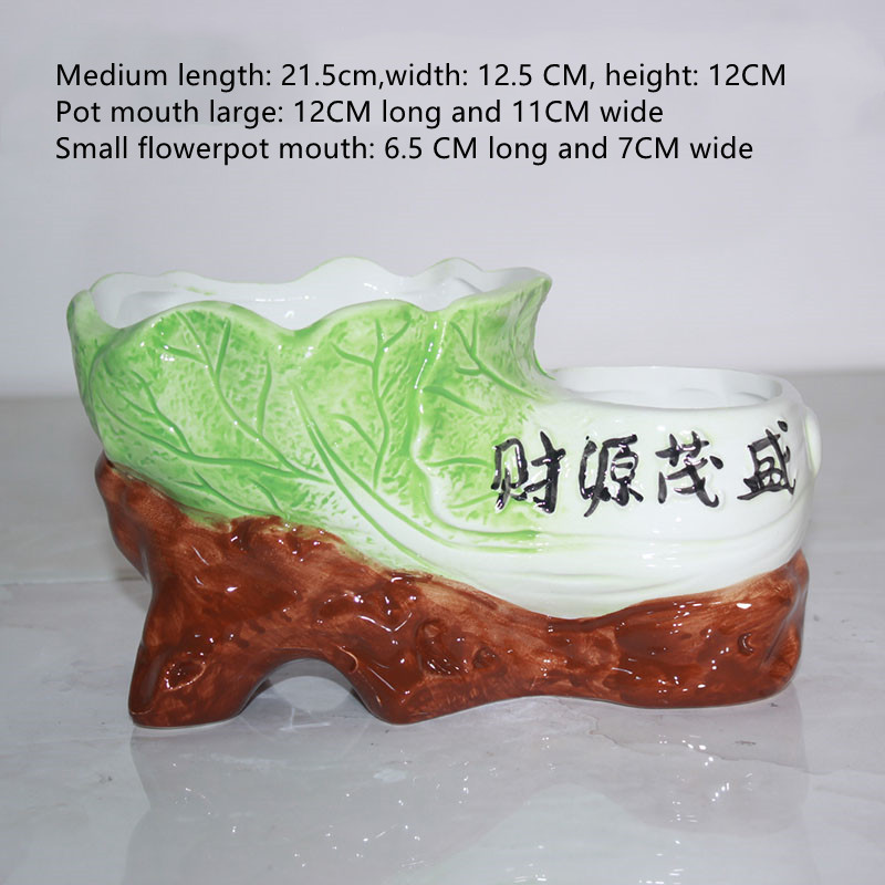 Cabbage Flowerpot Medium