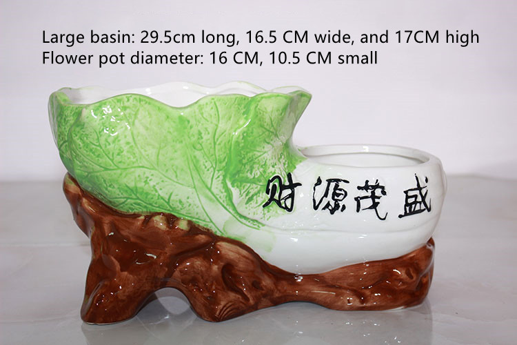 Cabbage B Big