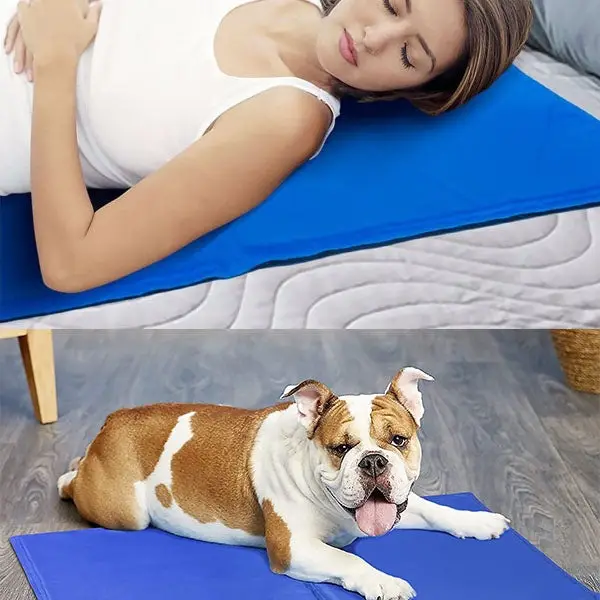 Waterproof And Wear-resistant Pet Sofa Mat