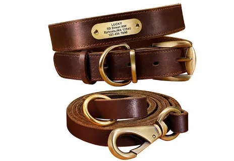 Personalized Dog Collars with Nameplate ID Tags for Medium Large Dogs Dark Brown Set - Shop at LoveMi