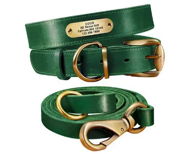 Personalized Dog Collars with Nameplate ID Tags for Medium Large Dogs Green Set - Shop at LoveMi