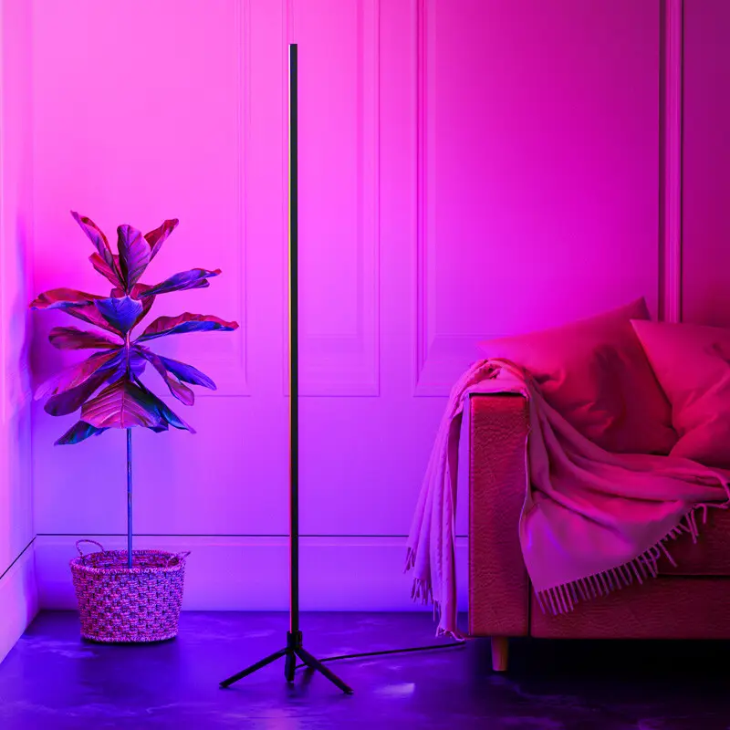 Colorful Floor Atmosphere Indoor Living Room Live