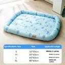 Blue Little Dolphin