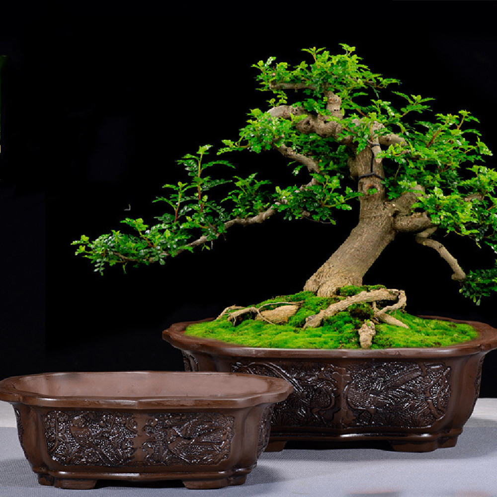 Square Rectangular Ceramic Bonsai Pot Pachira Macrocarpa Purple Sand Glazed Water Flowerpot Manger
