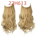 22H613