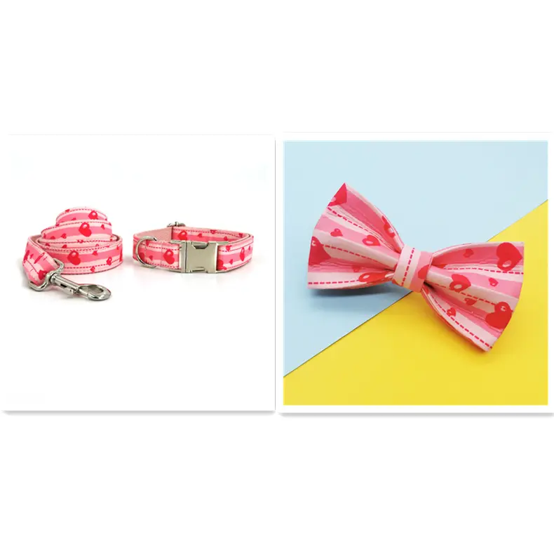Quality Pet Dog Collar Leash Set