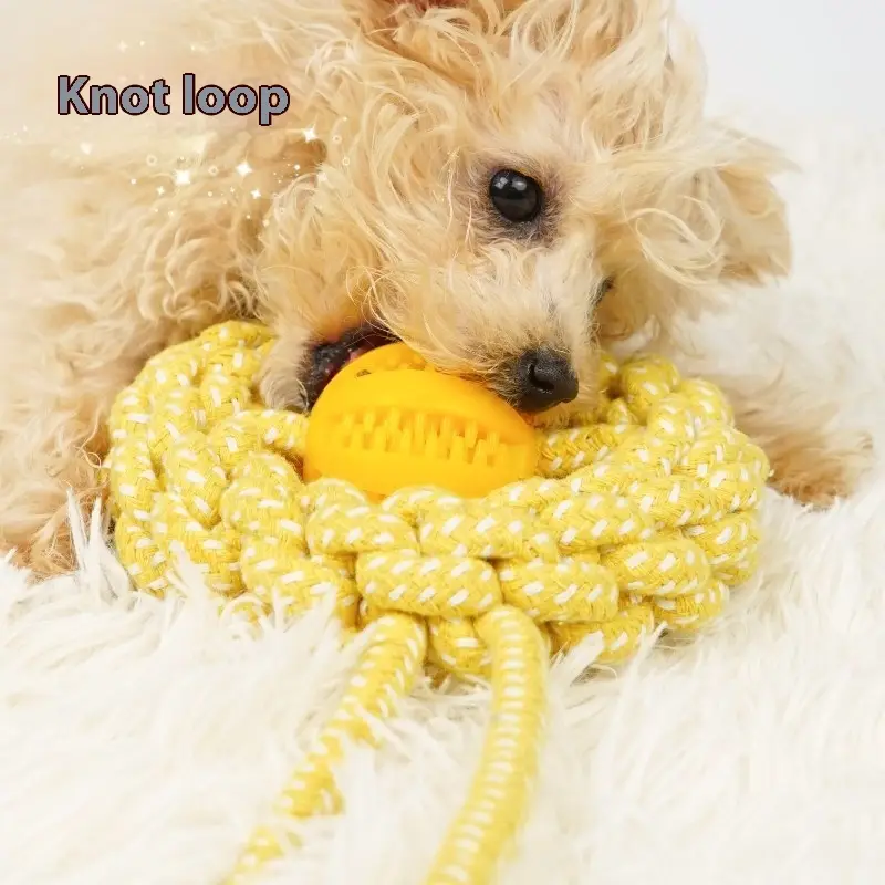Molar Long Lasting Cotton Rope Toys